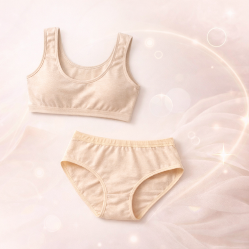 Buy 1 Get 1 Free Bra Panty Set